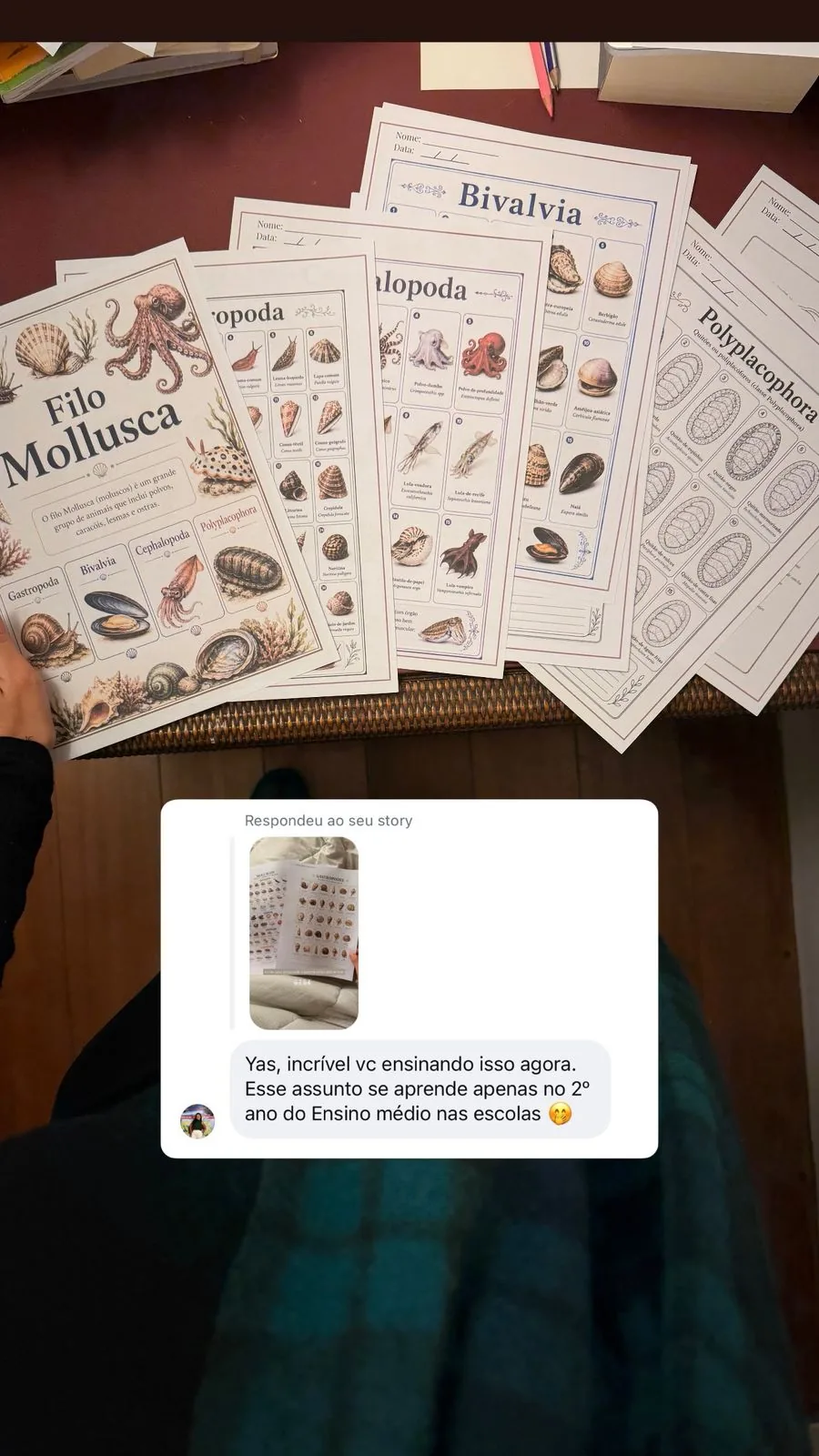 Depoimento de uma mãe elogiando o material do Clube Gaia.